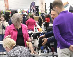 Dog Show Lublin 2024